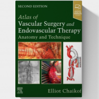 Atlas of Vascular Surgery and Endovascular Therapy: Anatomy and Technique, 2nd edition (EPUB)
