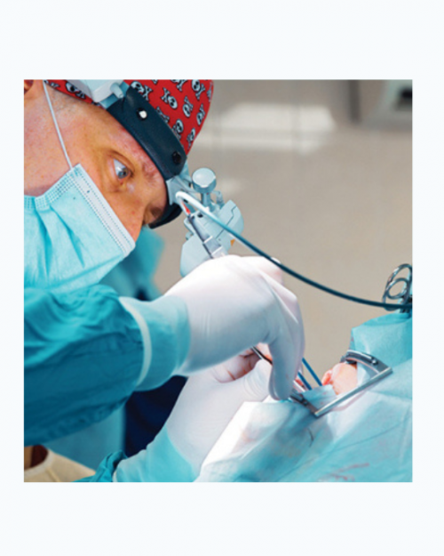 Oakstone Oral and Maxillofacial Surgery Review – A Comprehensive and Contemporary Update 2024 (Videos + Slides PDFs)