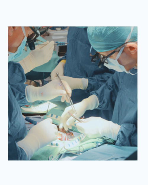 Comprehensive Review of Cardiac Surgery 2025