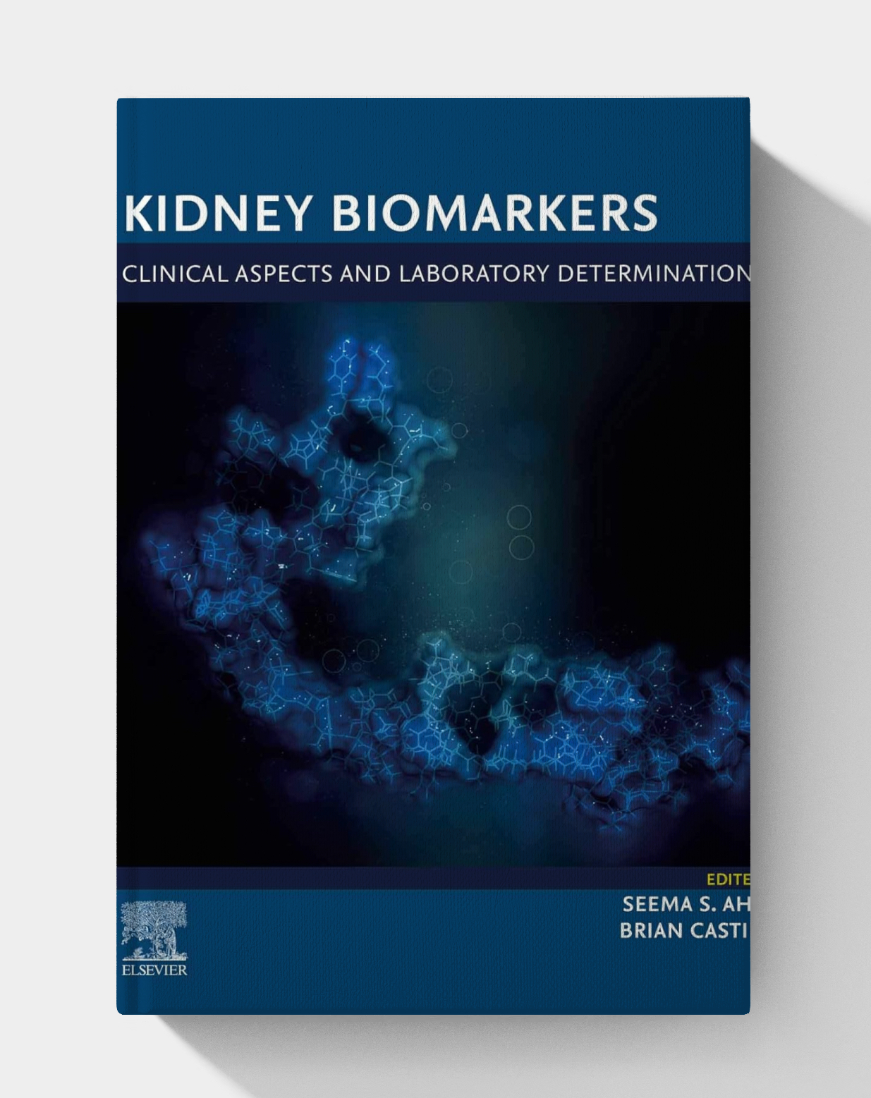 Kidney Biomarkers: Clinical Aspects and Laboratory Determination