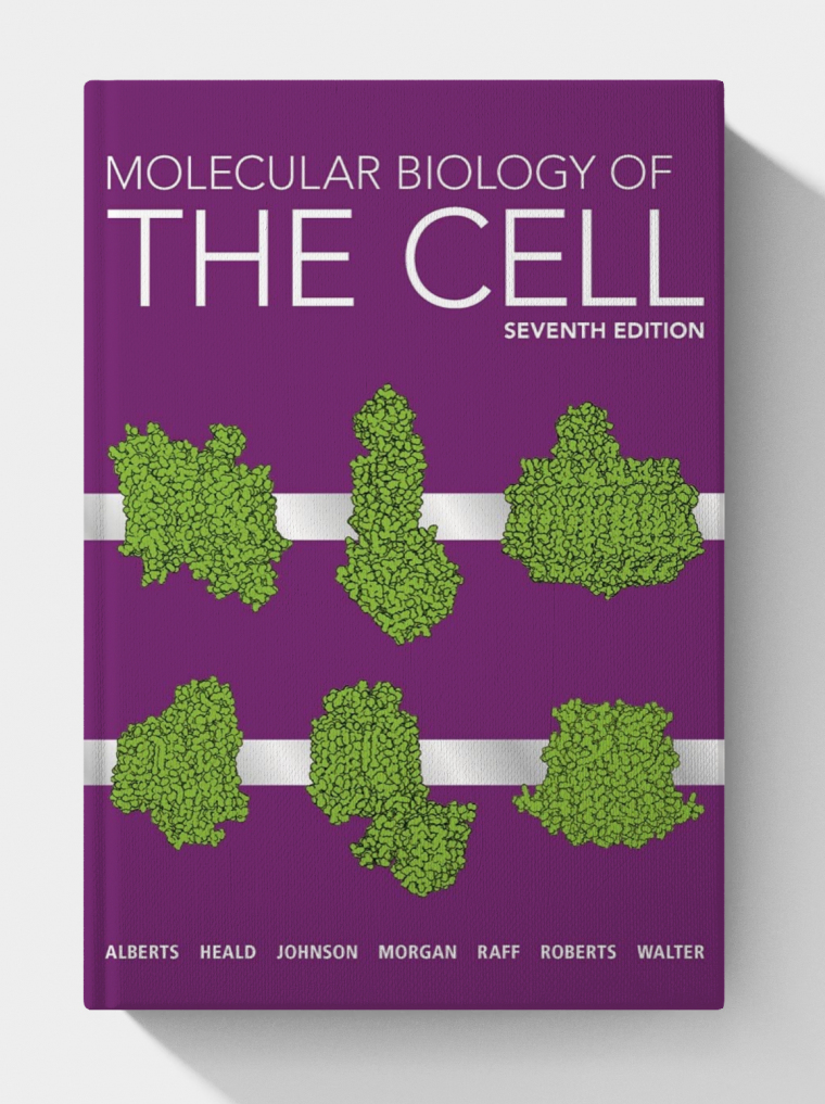 Molecular Biology of the Cell (7th Edition)