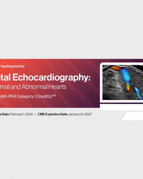 2024 Fetal Echocardiography: Normal and Abnormal Hearts (Videos)