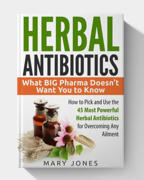 Herbal Antibiotics: What BIG Pharma Doesn’t Want You to Know