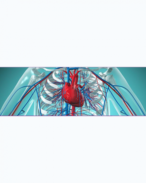 Hospital for Special Surgery Contemporary Topics in Vasculitis 2024