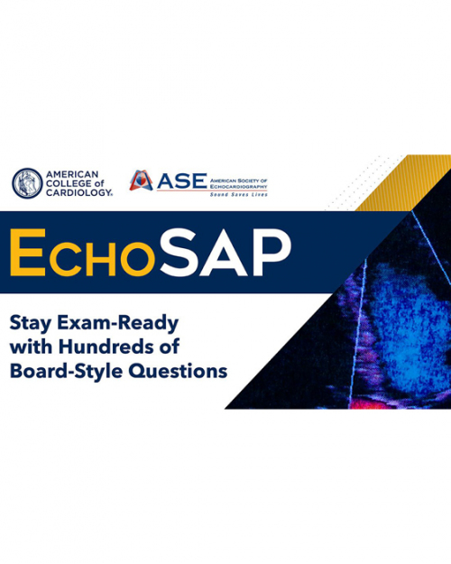 EchoSAP 2024 complete Videos + PDF + Q&A