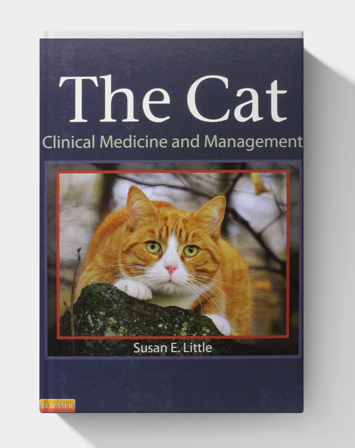 The Cat: Clinical Medicine and Management