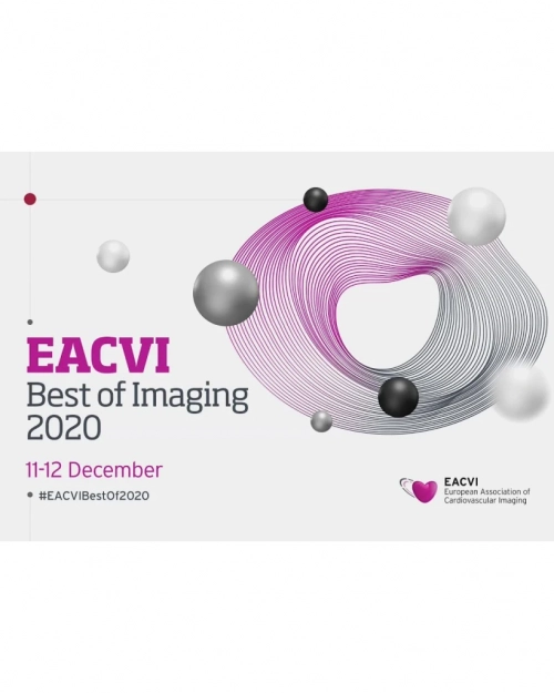 EACVI Best of Imaging 2020 Congress (VIDEOS)