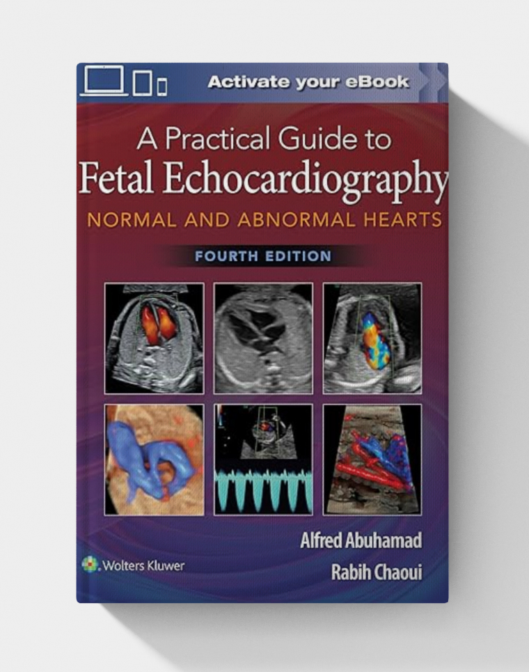 A Practical Guide to Fetal Echocardiography: Normal and Abnormal Hearts (4th Edition)