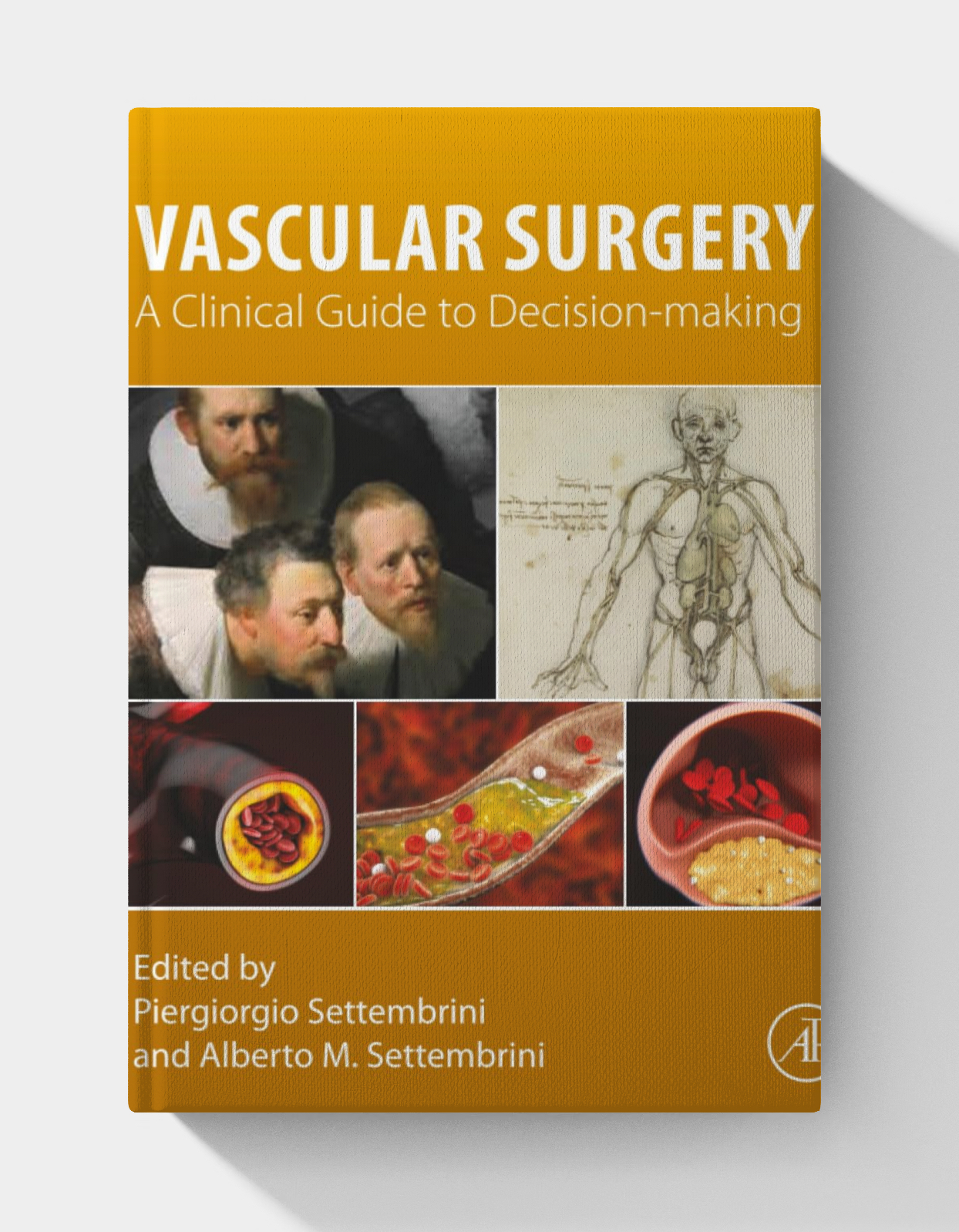 Vascular Surgery: A Clinical Guide to Decision-making