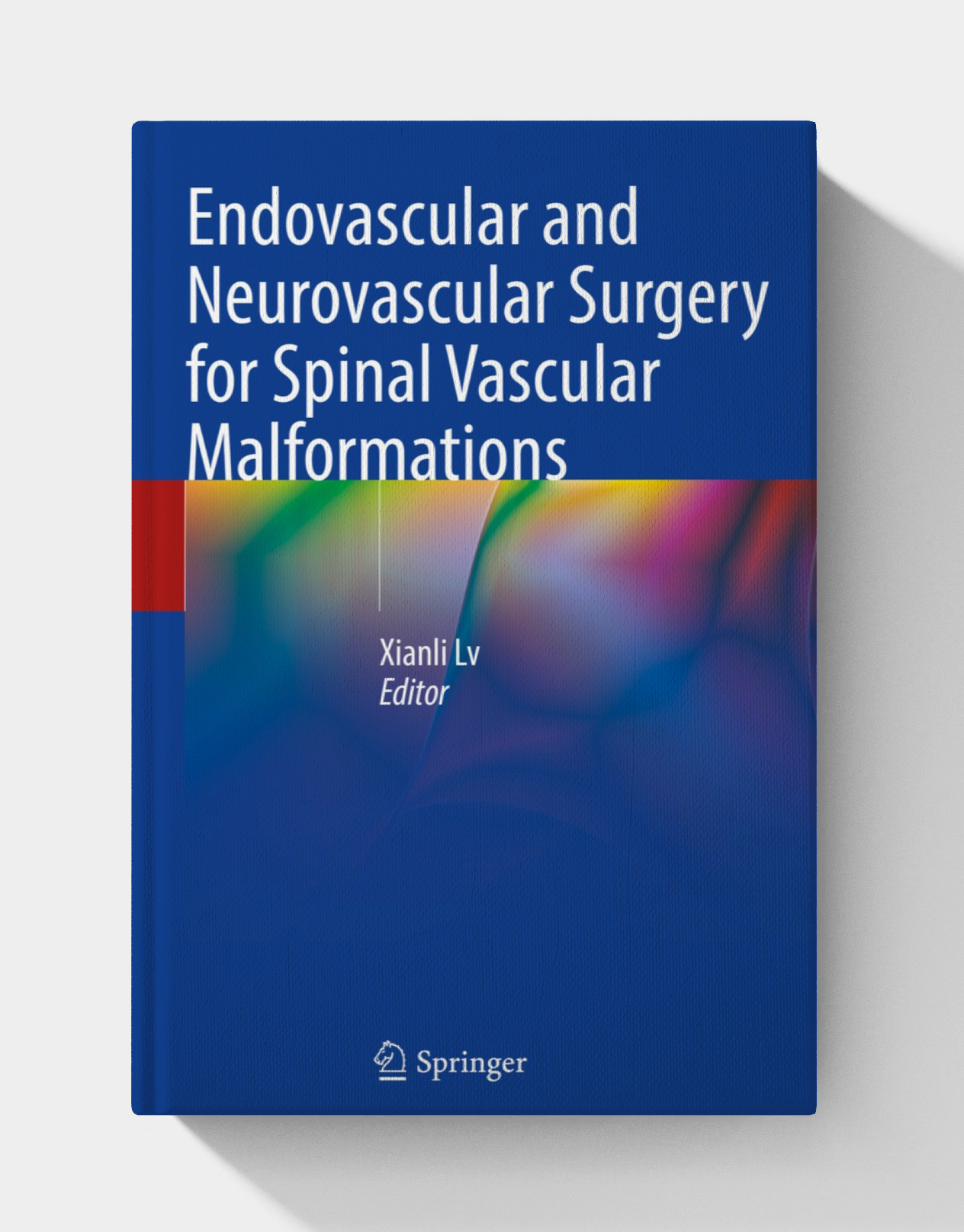 Endovascular and Neurovascular Surgery for Spinal Vascular Malformations