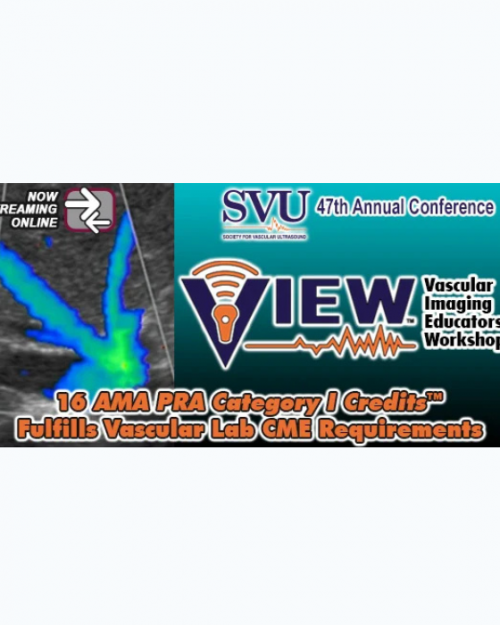 Vascular Imaging Educators Workshop (VIEW) 2025 (Videos)