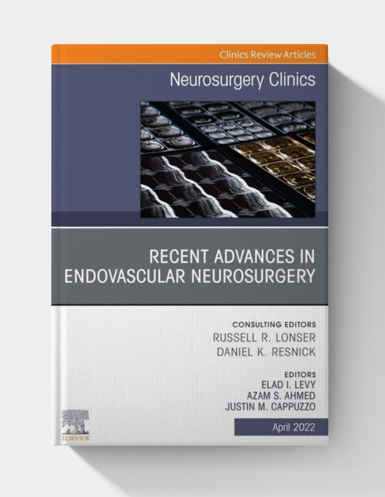 Recent Advances in Endovascular Neurosurgery, An Issue of Neurosurgery Clinics of North America, E-Book (The Clinics: Internal Medicine)