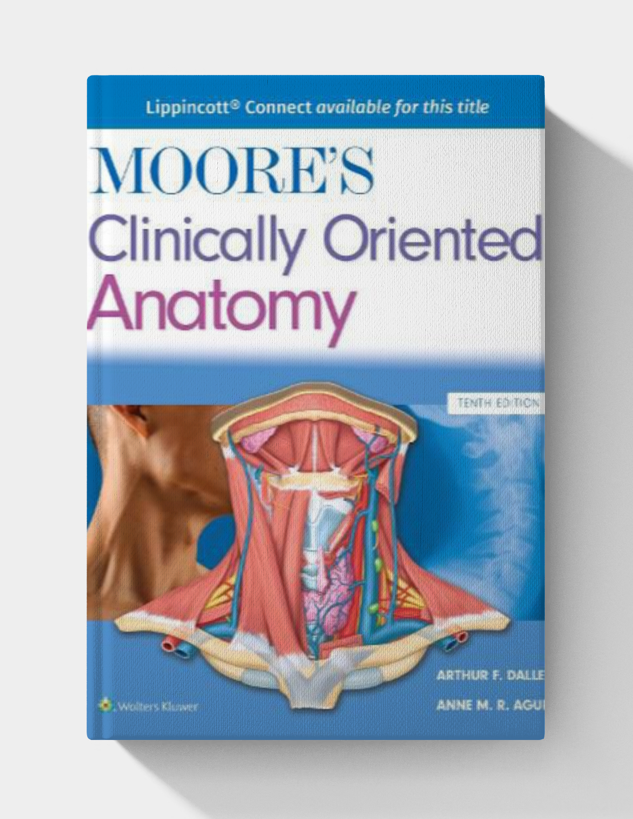 Moore’s Clinically Oriented Anatomy, 10th edition (EPUB)