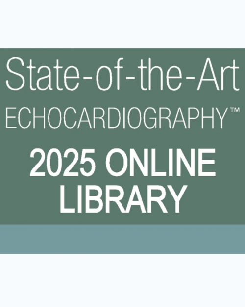 ASE 2025 SOTA Online Library