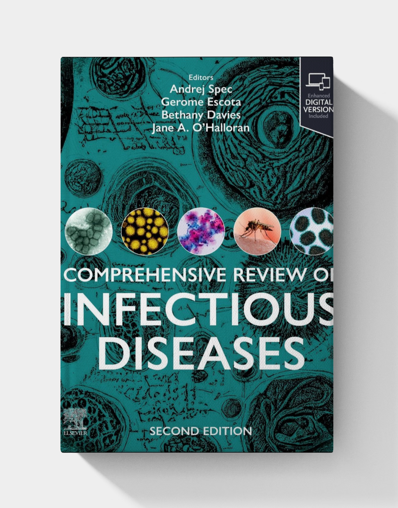 Comprehensive Review of Infectious Diseases (2nd Edition) 2025
