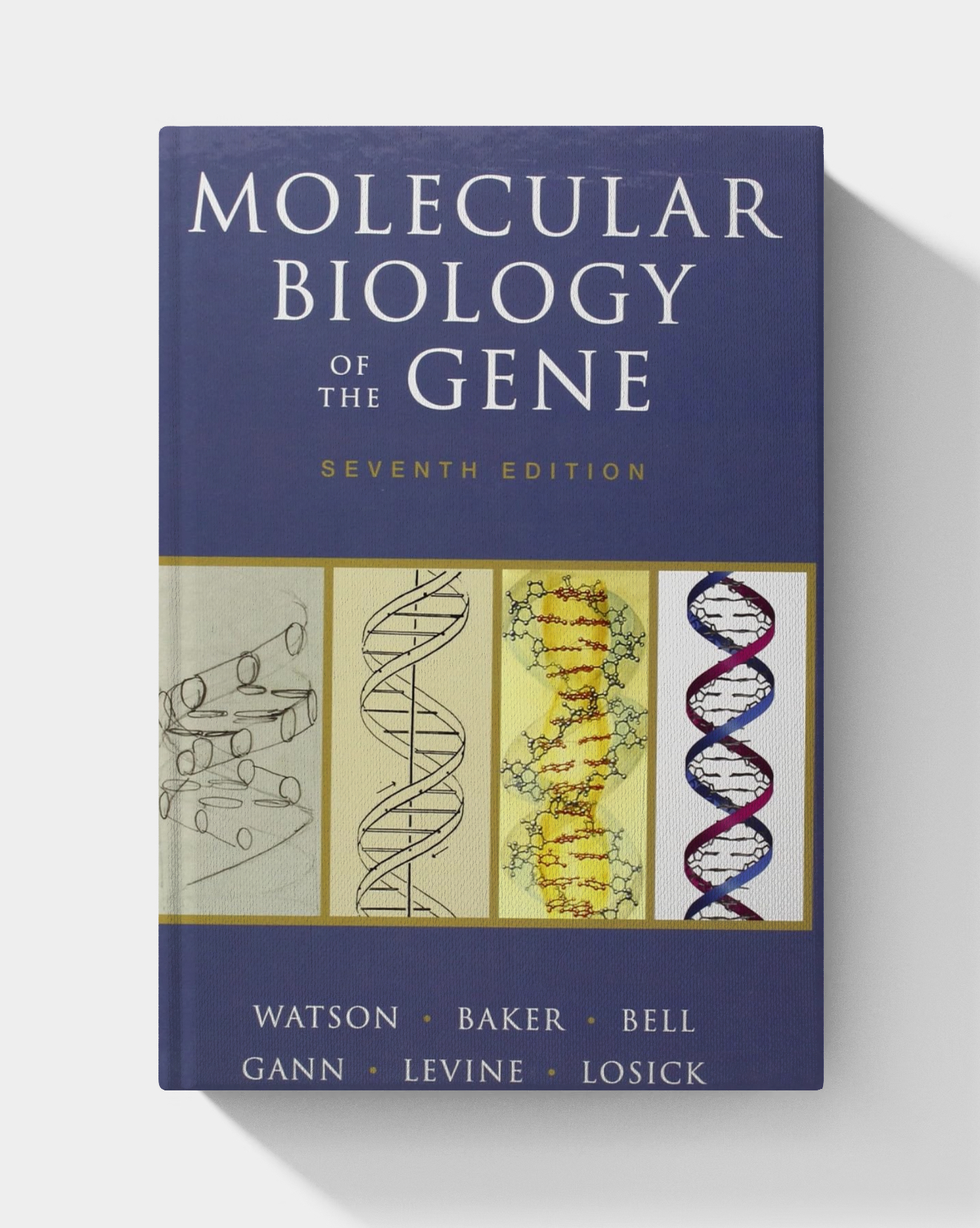 Molecular Biology of the Gene (7th Edition)