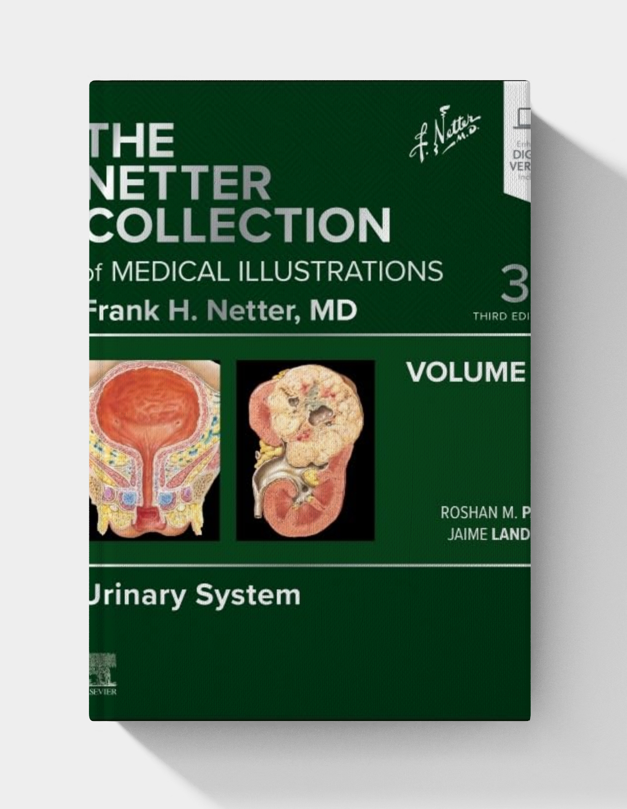 The Netter Collection of Medical Illustrations: Urinary System, Volume 5, 3rd Edition