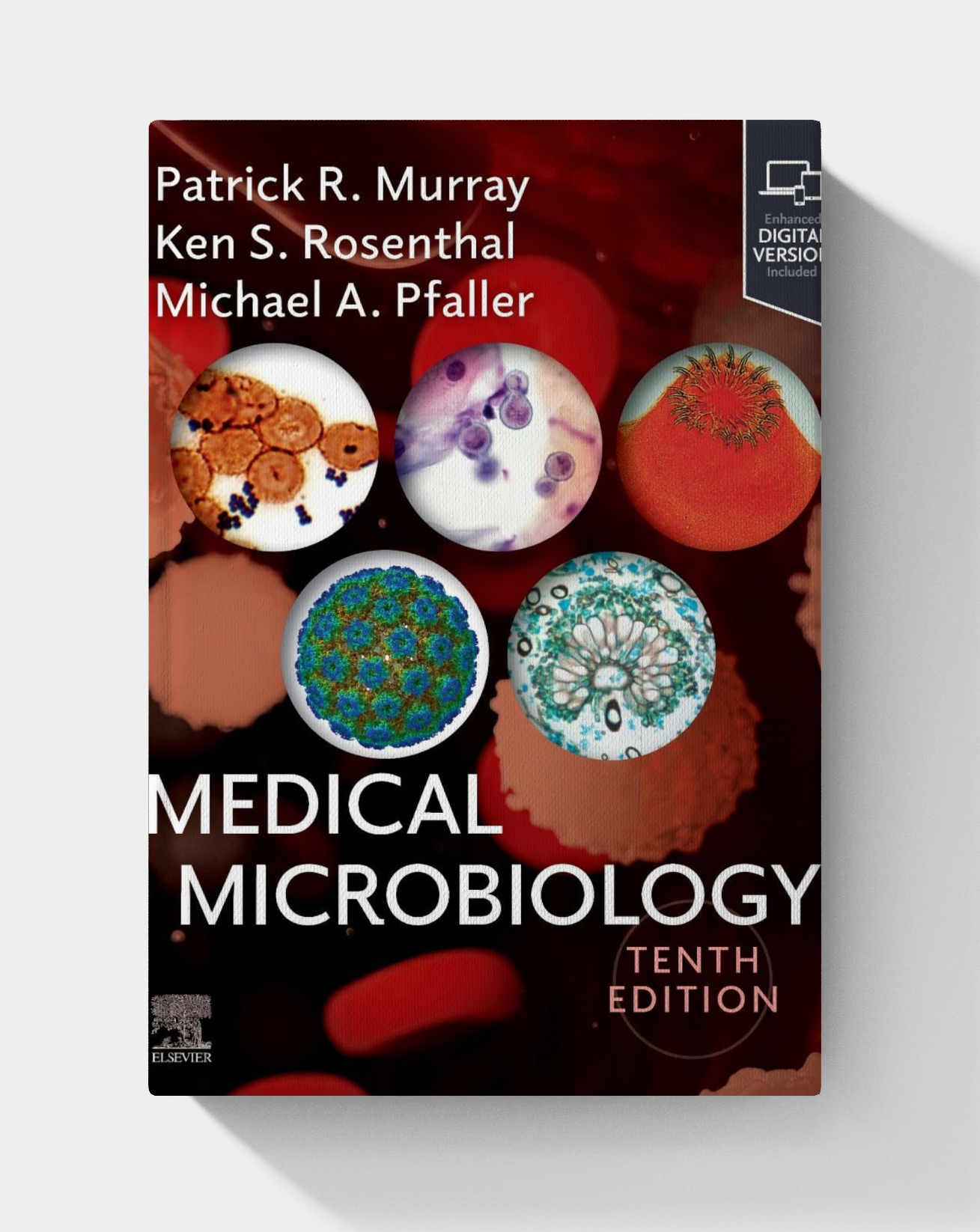 Medical Microbiology (10th edition) 2025
