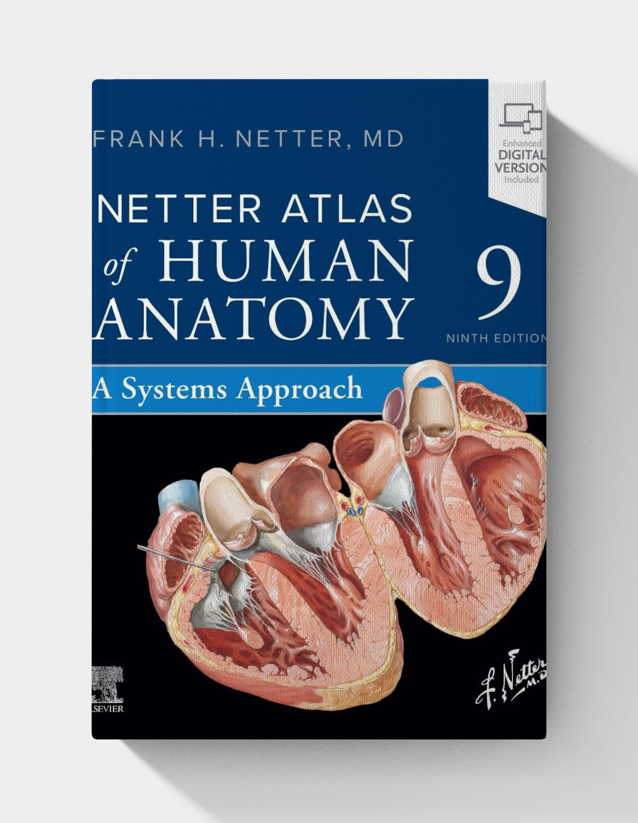 Netter Atlas of Human Anatomy: A Systems Approach (Netter Basic Science) 9th edition (EPUB)