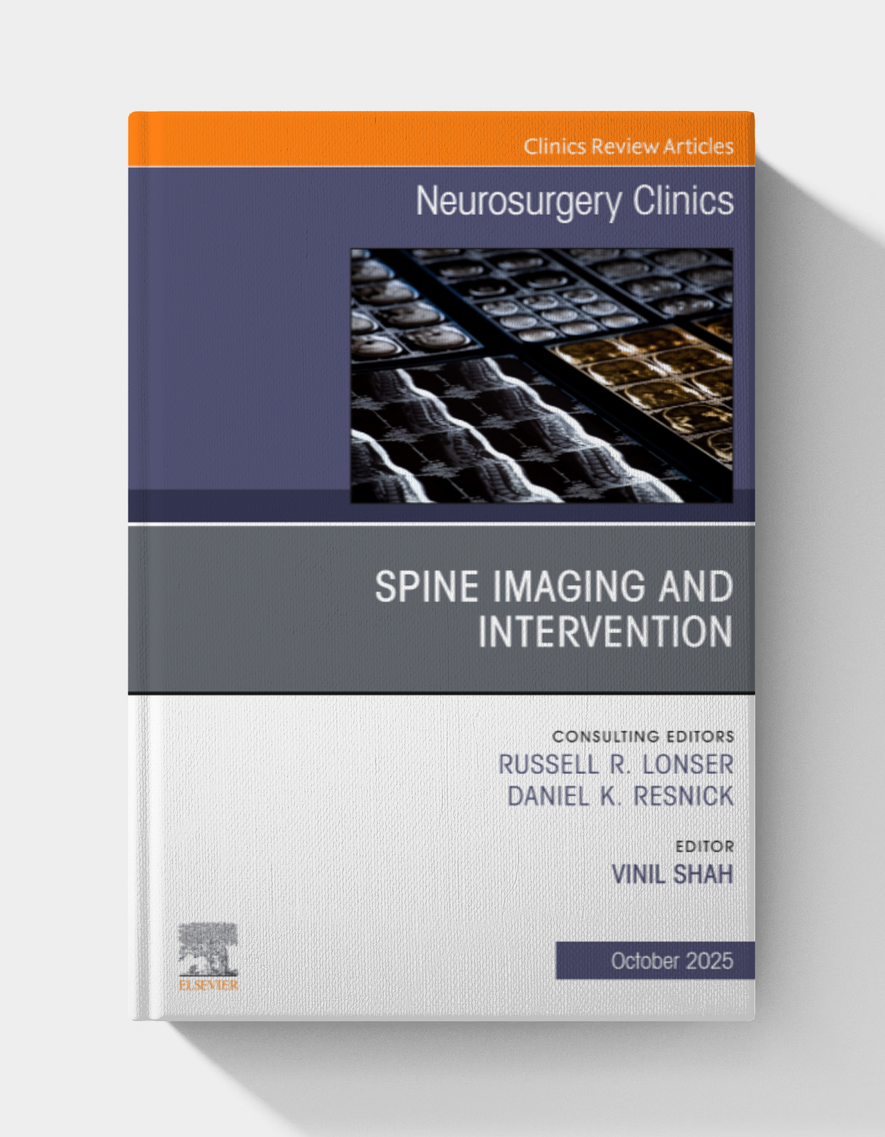Neurosurgery Radiology & Nuclear Medicine Wishlist Spine Imaging and Intervention, An Issue of Neurosurgery Clinics of North America