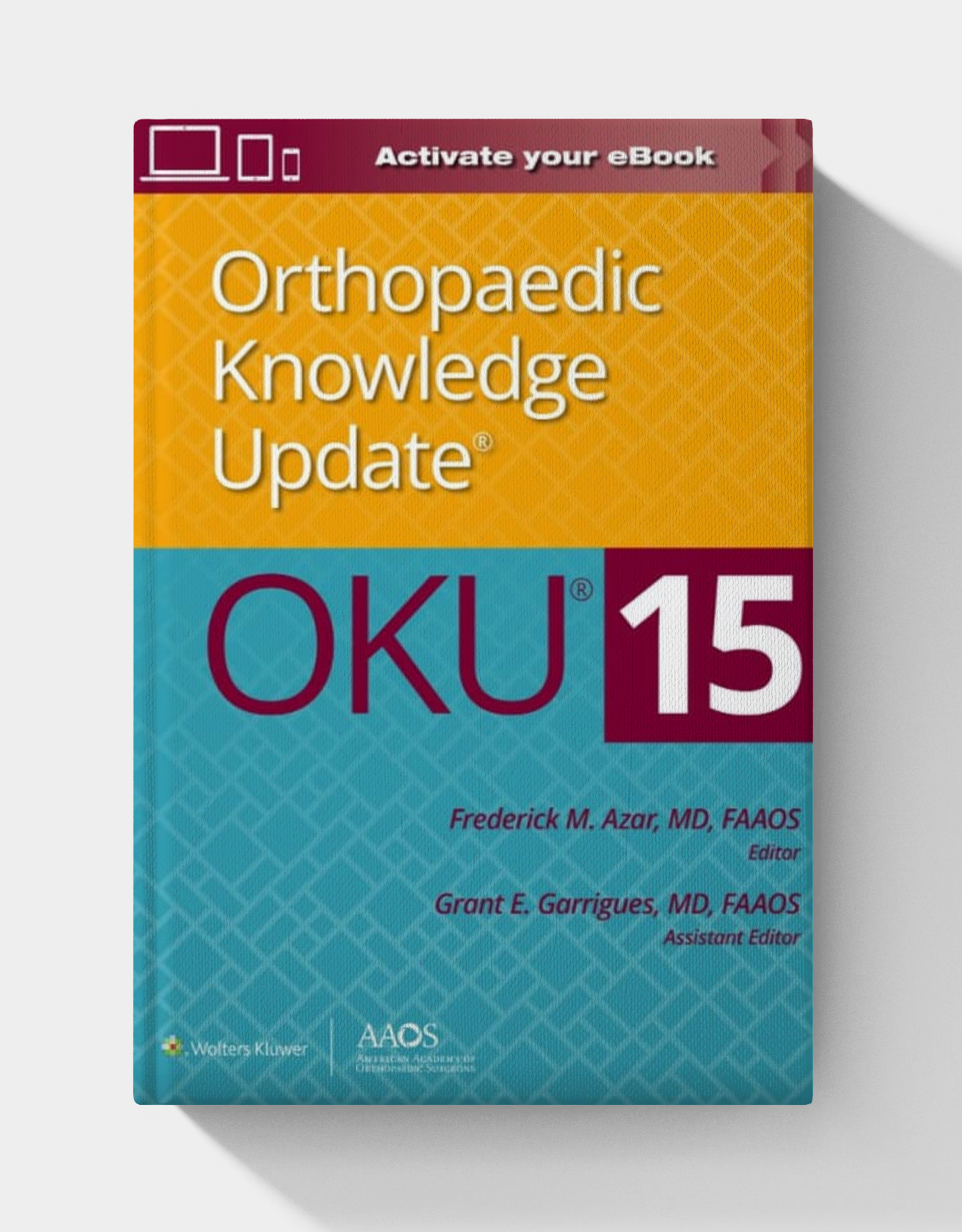 Orthopaedic Knowledge Update® 15 (AAOS – American Academy of Orthopaedic Surgeons)