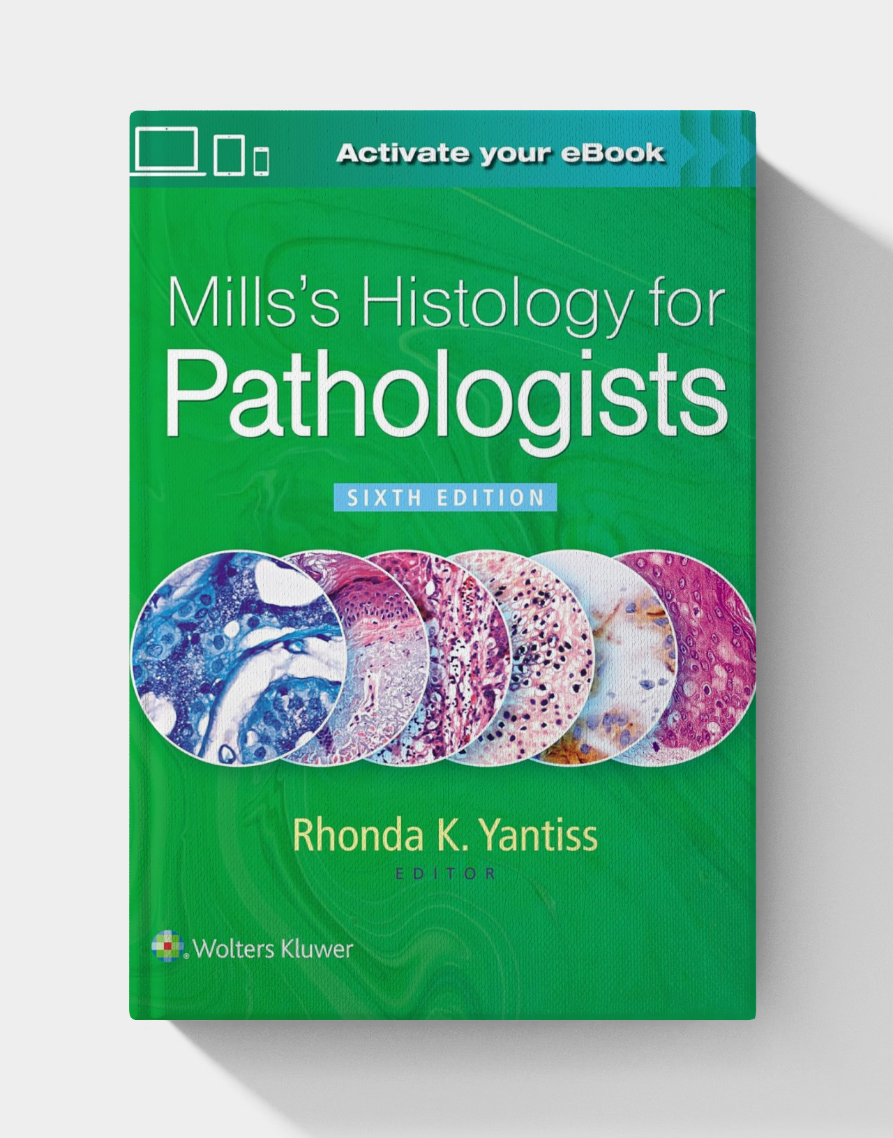 Mills’s Histology for Pathologists (6th edition)