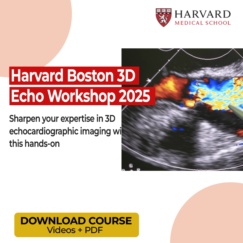 Harvard Boston 3D Echo Workshop 2025 - Image 2