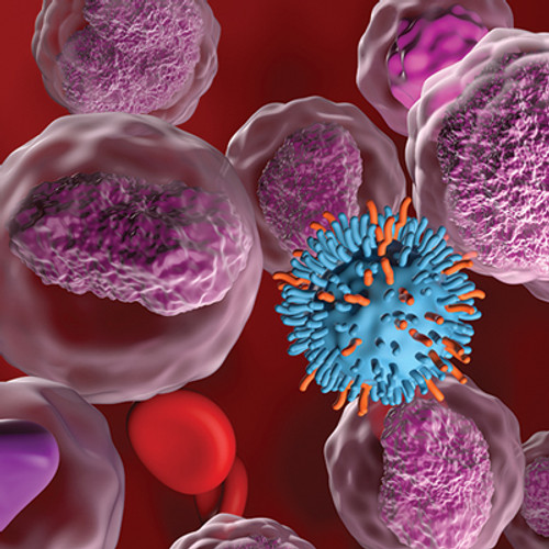 The Brigham and Dana-Farber Board Review and Comprehensive Update in Oncology 2025 (Videos + Slides)