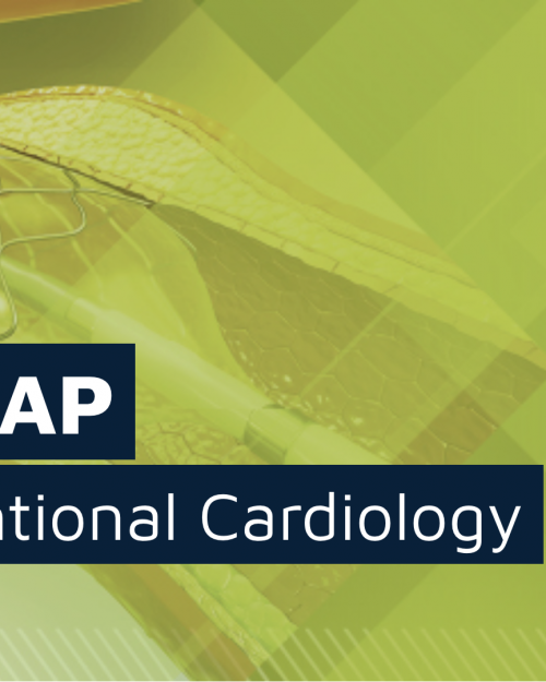 CathSAP 2025 – Updated February 2025 (Videos + Audios + Slides + Quiz)