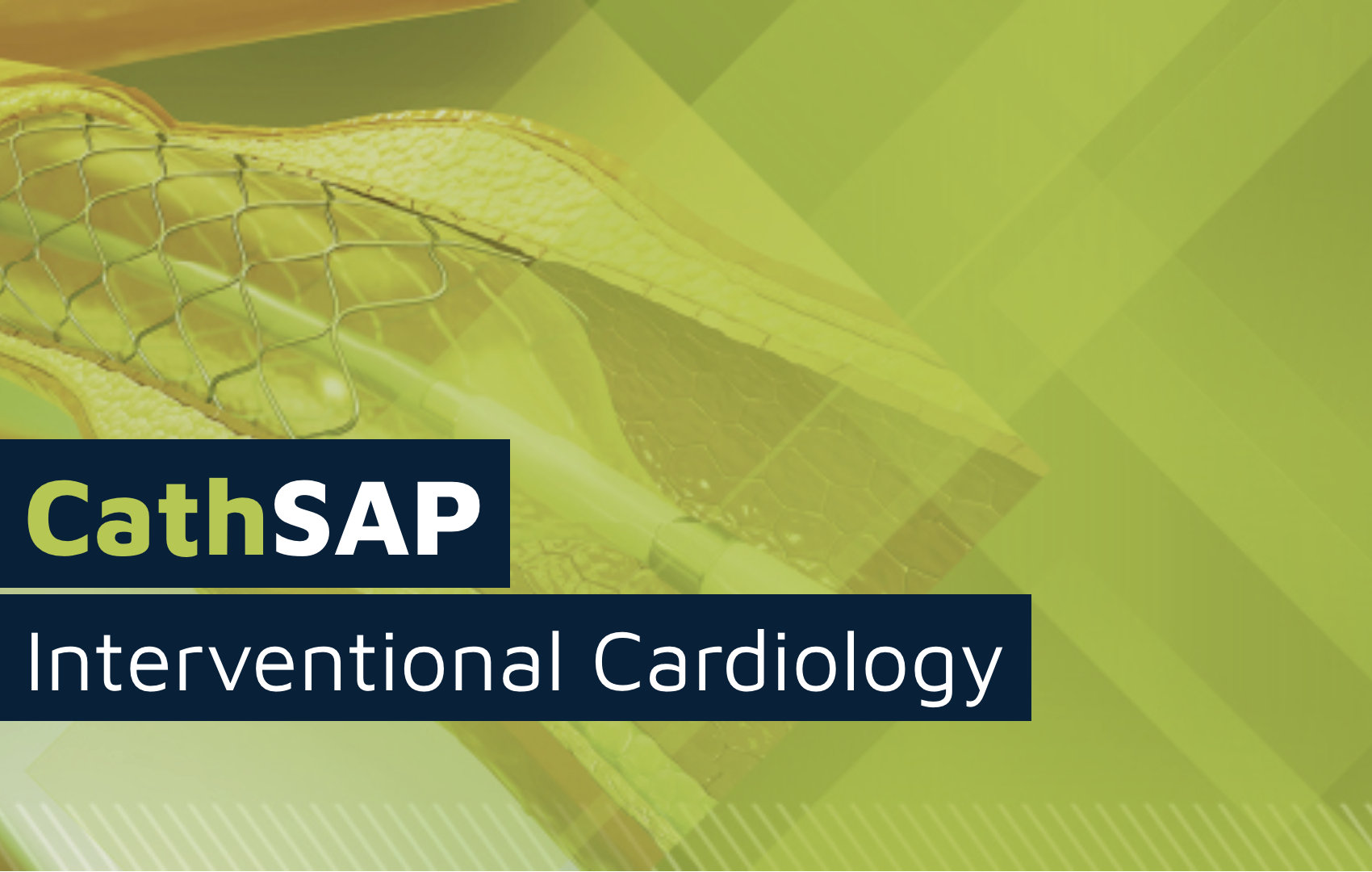 CathSAP 2025 – Updated February 2025 (Videos + Audios + Slides + Quiz)
