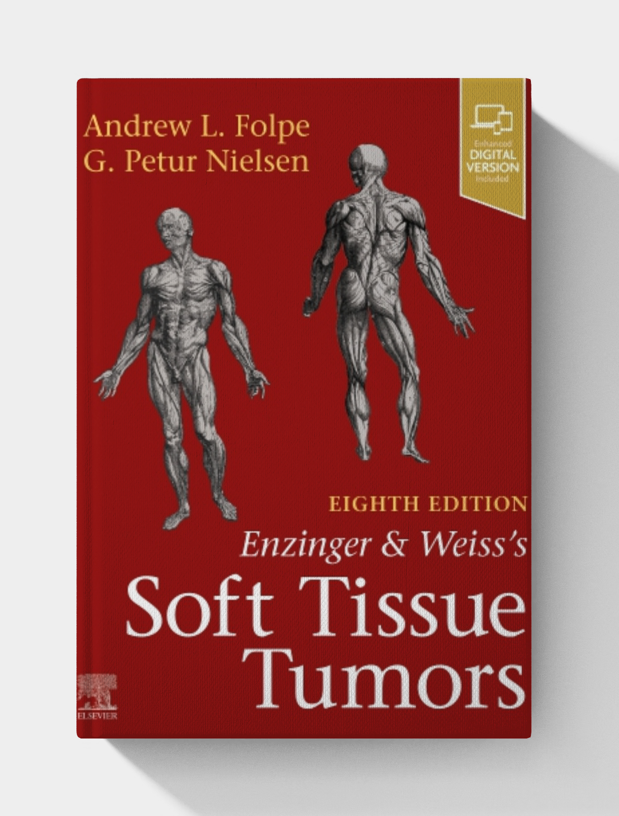 Enzinger and Weiss’s Soft Tissue Tumors, 8th edition (EPUB) 2026