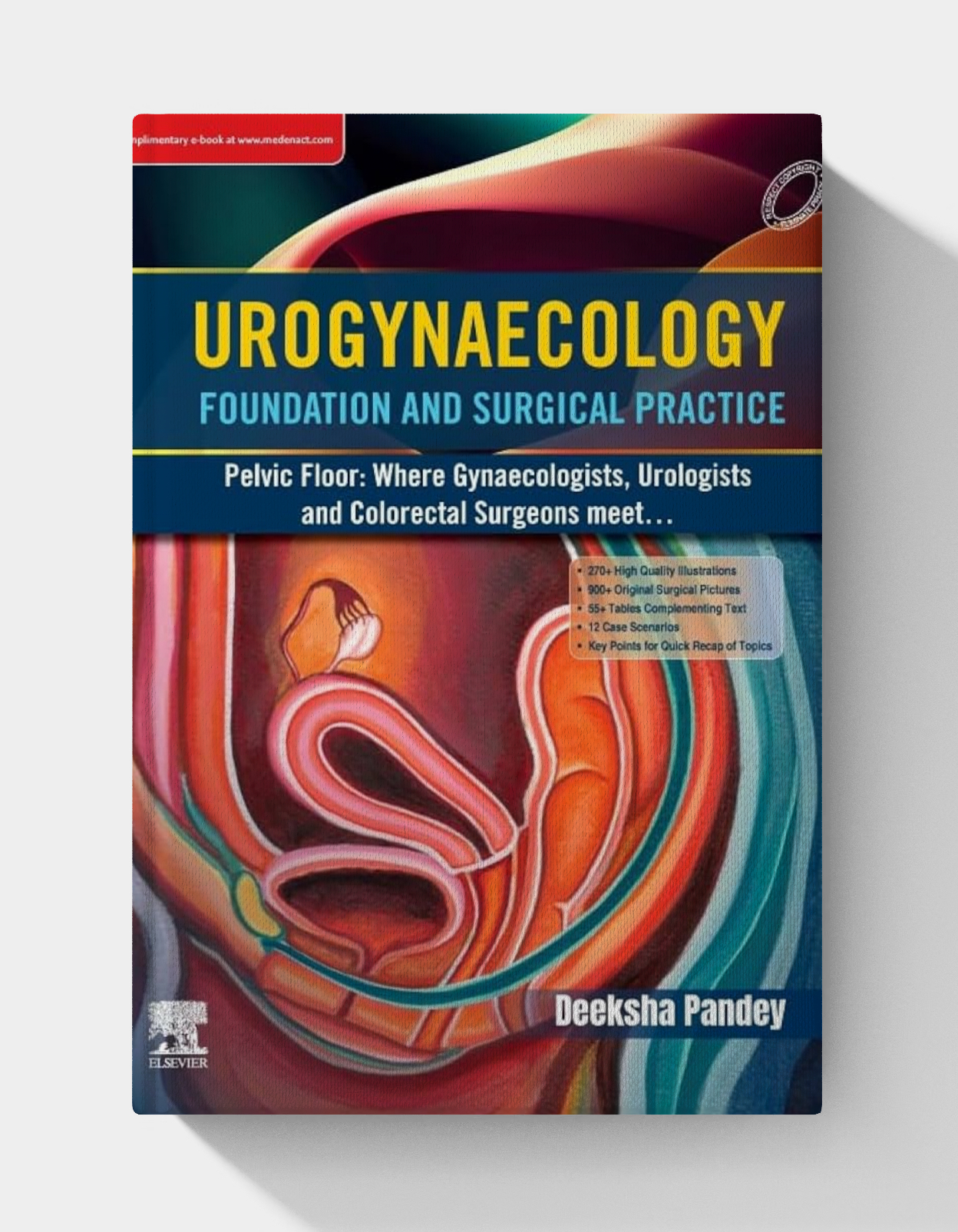 Urogynaecology: Foundation and Surgical Practice