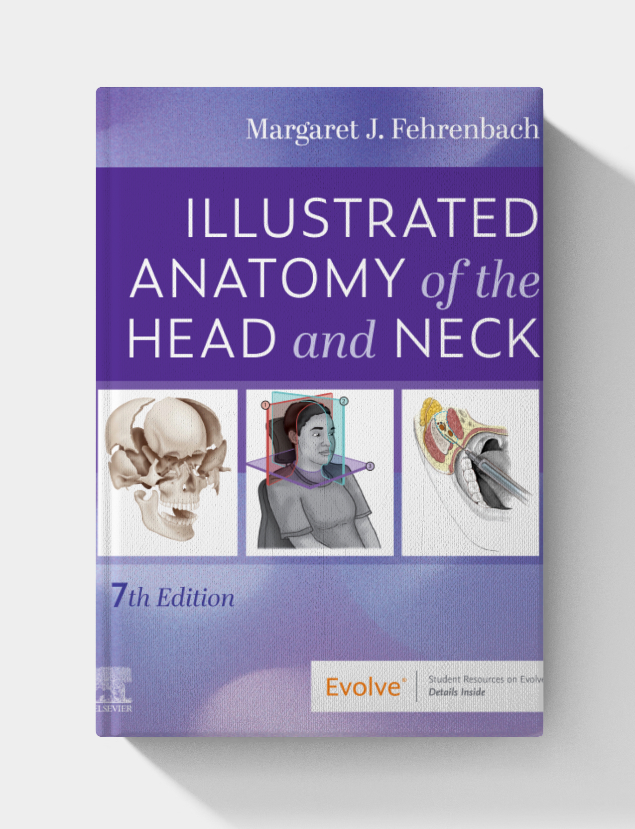 Illustrated Anatomy of the Head and Neck (7th edition)