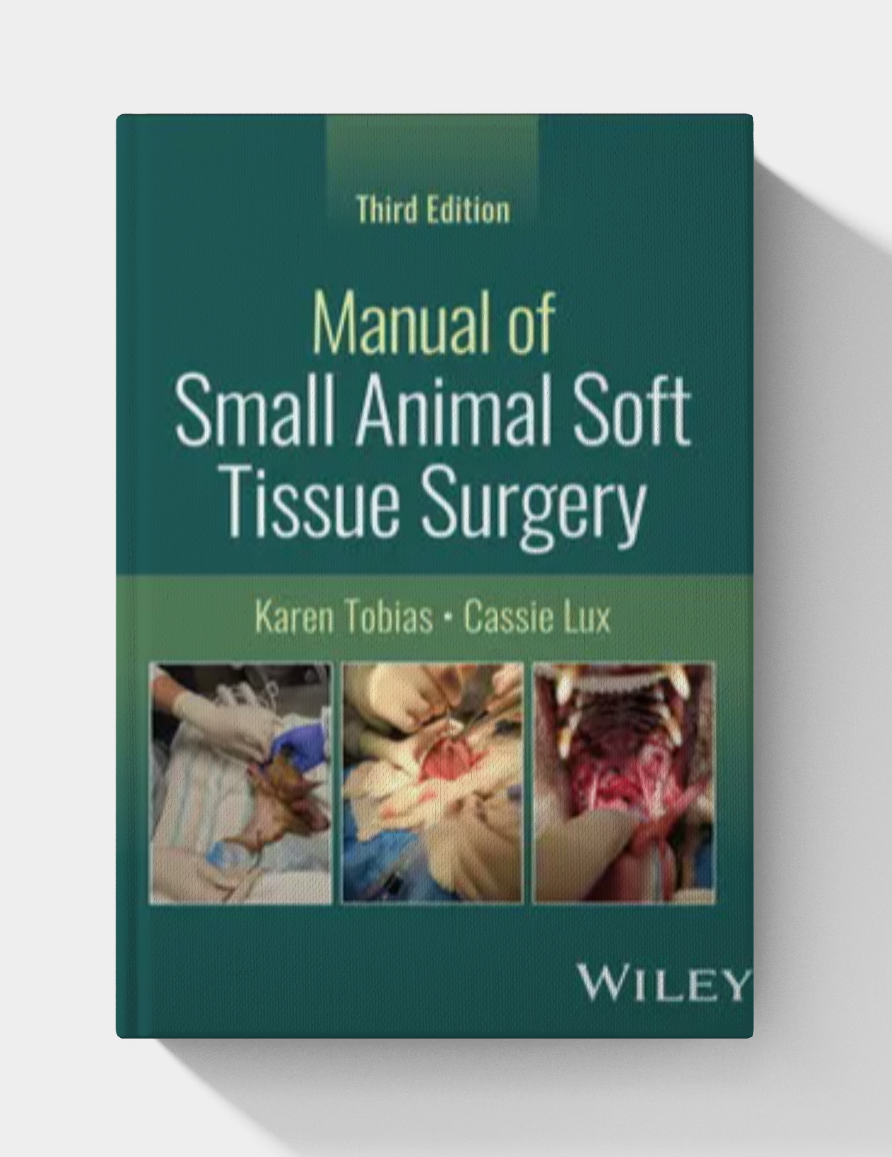 Manual of Small Animal Soft Tissue Surgery (3rd edition)