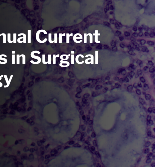 Harvard 45th Annual Current Concepts in Surgical Pathology 2024