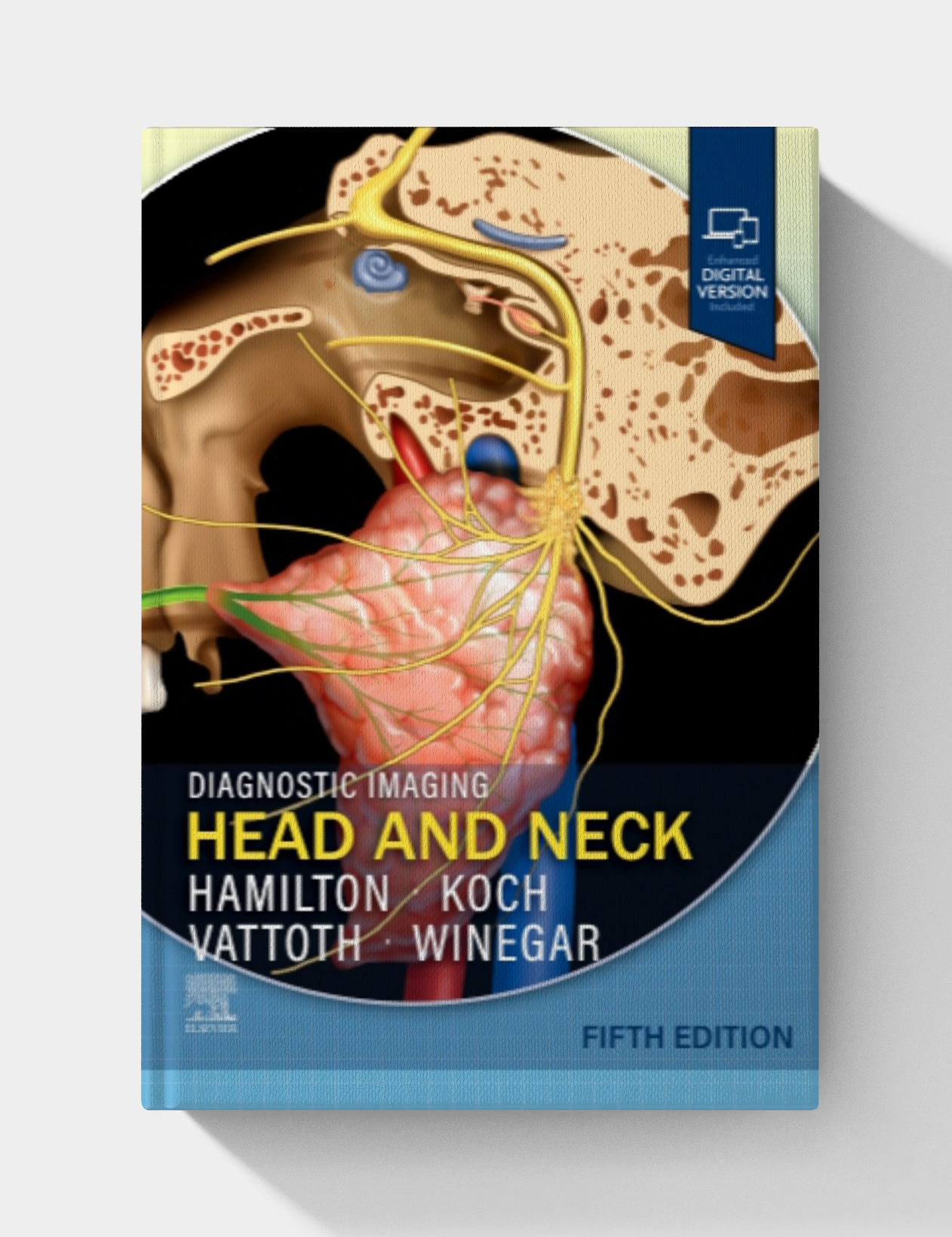 Diagnostic Imaging: Head and Neck (5th edition)