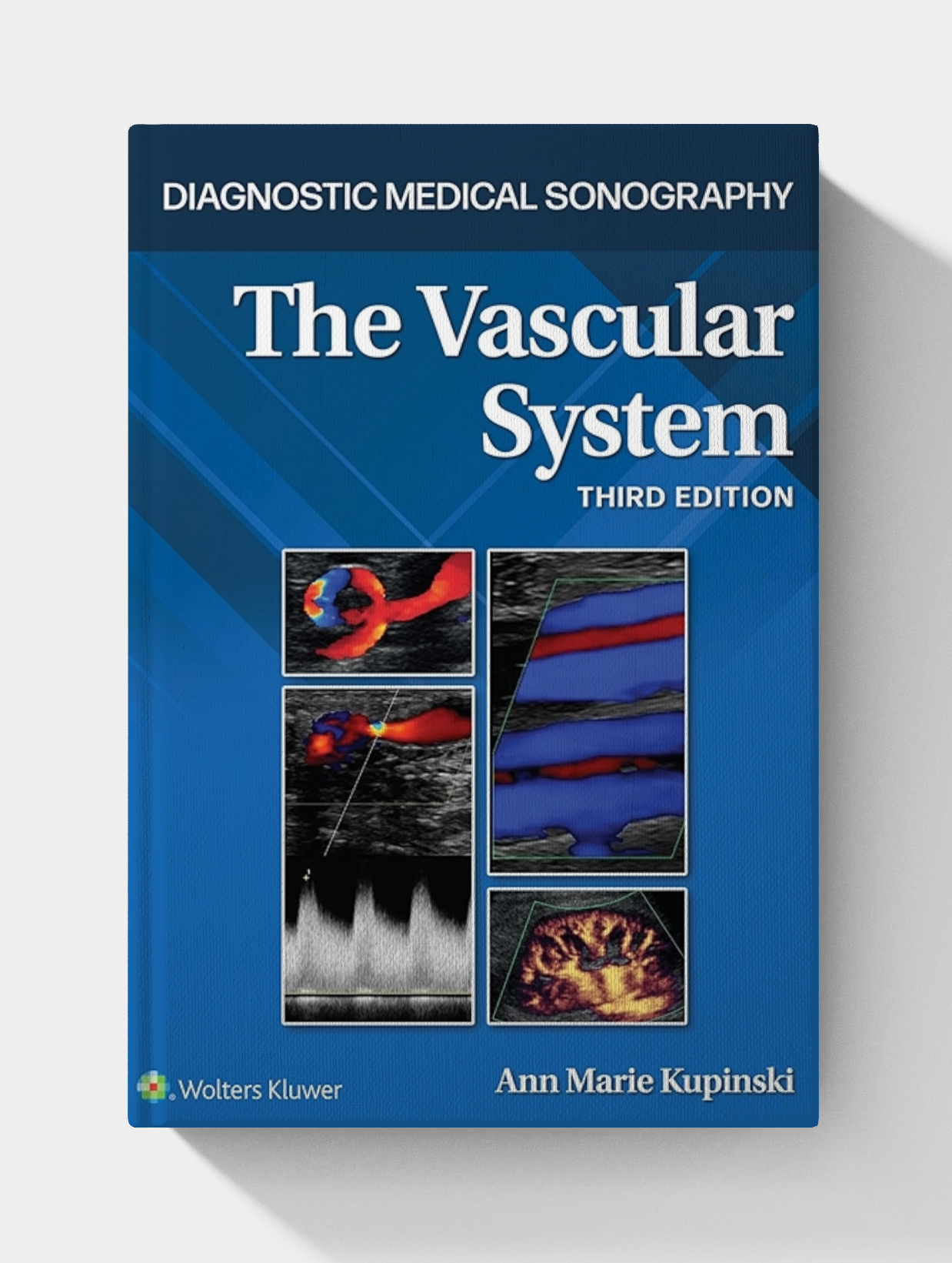 Workbook for Diagnostic Medical Sonography: A Guide to the Vascular System