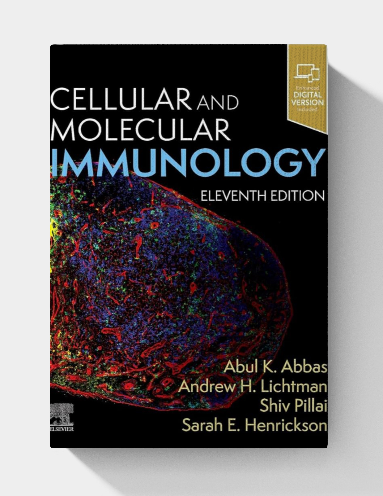 Cellular and Molecular Immunology (11th Edition)