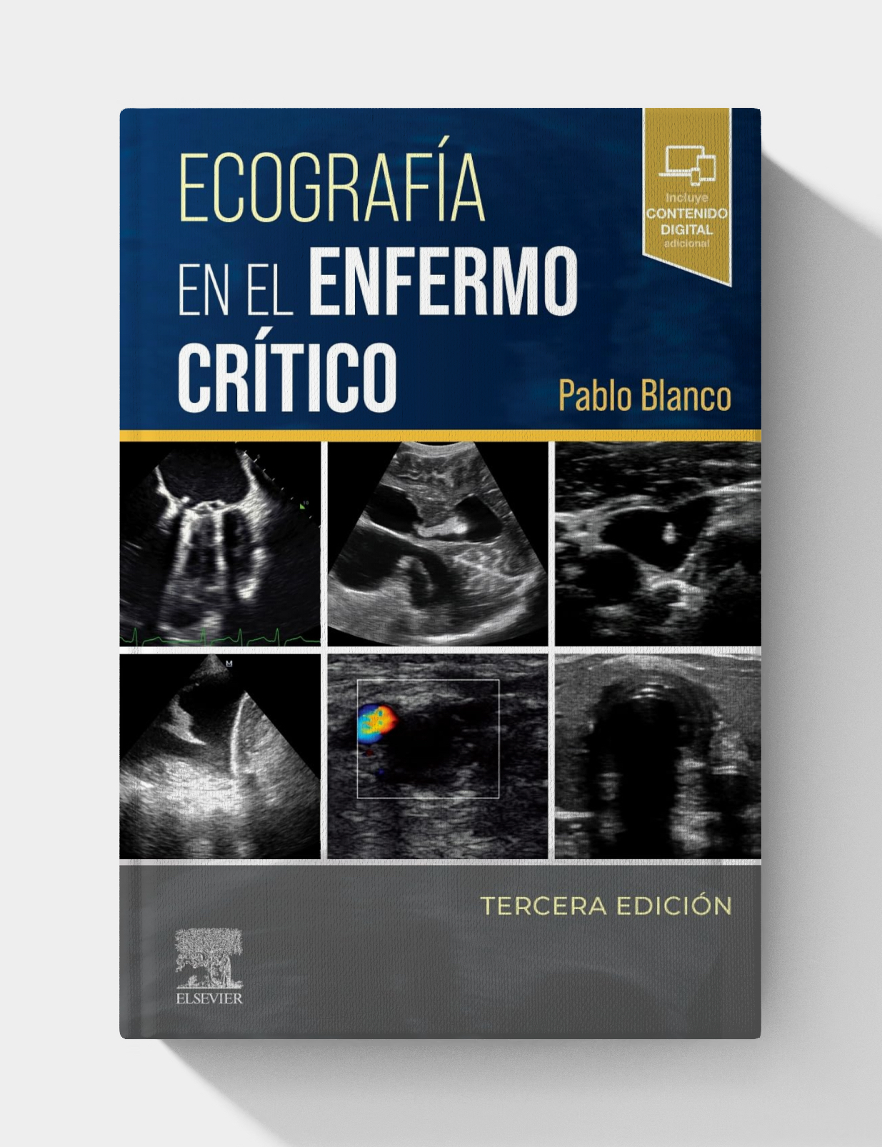 Ecografía en el enfermo crítico (3rd Edition)