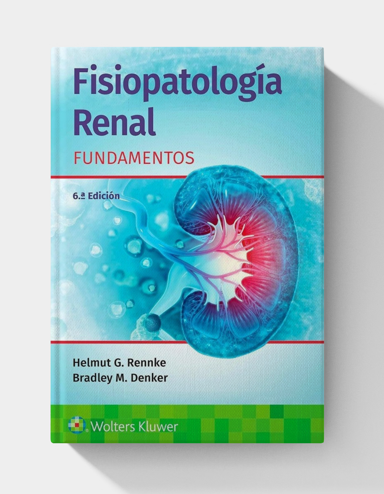 Fisiopatología renal. Fundamentos (Spanish Edition), 6th Edition (EPUB)