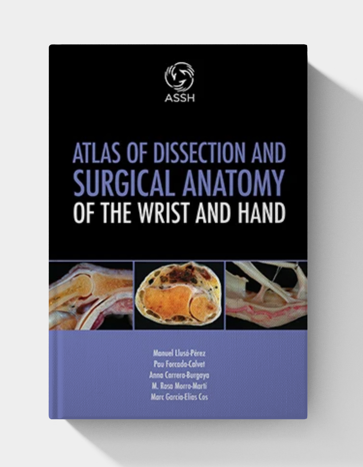 Atlas of Dissection and Surgical Anatomy of the Wrist and Hand (EPUB)