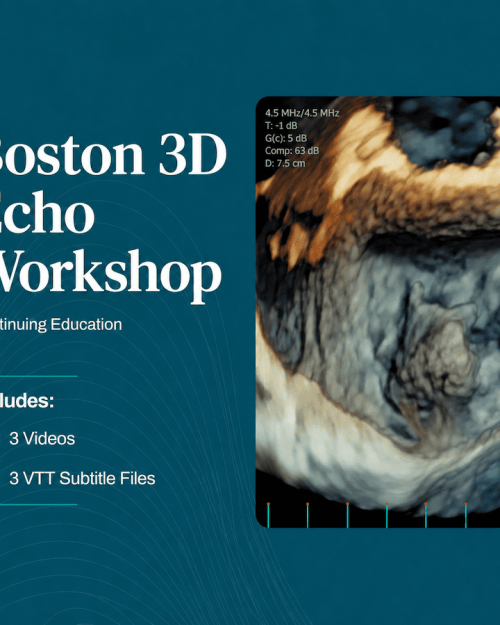Harvard Boston 3D Echo Workshop 2026